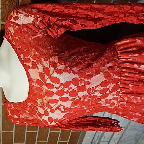 Sz4 Free People Red Floral Embroidered Mesh Dress - Picture 6 of 12